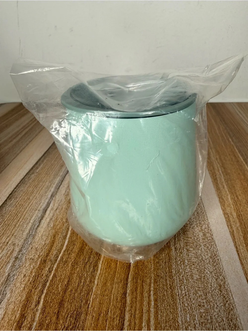 🆕 Fellow Ruby Tumbler Mint Chip 12oz/355ml Insulated Stainless Steel